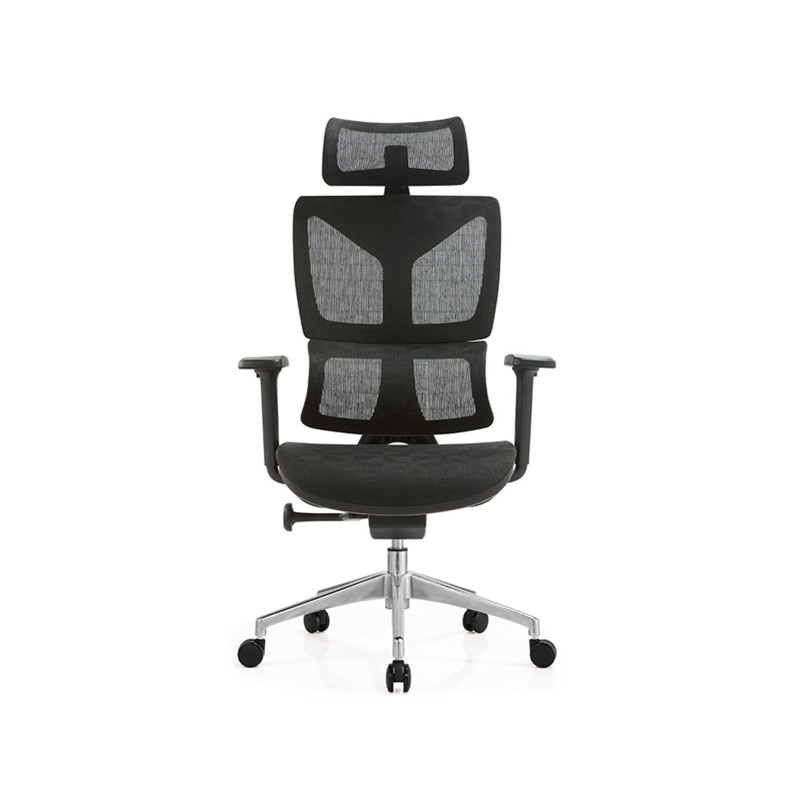 Z-E320H Ergonomic Mesh Office Chair (Black)