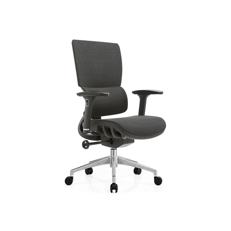Z-E320G Ergonomic Office Chair